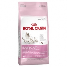 Royal Canin kassitoit kassipoegadele vanuses 1-4 elukuud, 4 kg